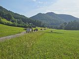 Rossfeld (237)